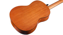 Load image into Gallery viewer, Cordoba Protege C1M W/B Classical Guitar - Spruce With Carrying Bag
