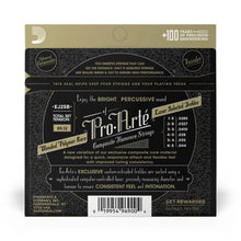 Load image into Gallery viewer, D’addario EJ25B Pro-Arte Black Nylon Composite Flamenco Guitar Strings