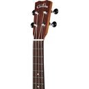 Load image into Gallery viewer, Cordoba 25T Tenor Ukulele (Exotic Acacia)