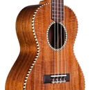 Load image into Gallery viewer, Cordoba 25T Tenor Ukulele (Exotic Acacia)
