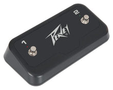 Charger l'image dans la galerie, Peavey 03620960 Multi-Purpose 2-Button Footswitch with LEDs