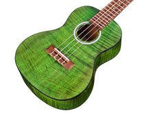 Load image into Gallery viewer, Cordoba 15CFM Jade Green Concert Ukulele-(8310206988543)