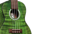 Load image into Gallery viewer, Cordoba 15CFM Jade Green Concert Ukulele-(8310206988543)