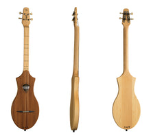 Load image into Gallery viewer, Seagull 042517  M4 Mahogany Merlin Dulcimer Electric EQ MADE In CANADA - D