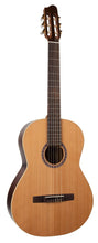 Load image into Gallery viewer, Godin 049707 Etude Left Handed Classical Guitar MADE In CANADA