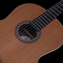 Load image into Gallery viewer, Godin 049639 / 051816 Collection Electric Classical Guitar MADE In CANADA