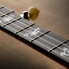 Charger l'image dans la galerie, DEERING SIERRA™ 5-STRING BANJO MAPLE with Hardshell Case S-M-(7441270538495)