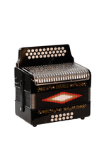 Load image into Gallery viewer, BARONELLI USA AC3112STG Full Size 31 Button Accordion-(6671525249218)