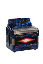 Load image into Gallery viewer, BARONELLI USA AC3112STG Full Size 31 Button Accordion-(6671525249218)
