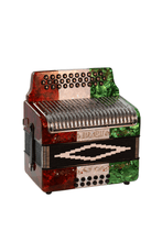 Load image into Gallery viewer, BARONELLI USA AC3112STG Full Size 31 Button Accordion-(6671525249218)
