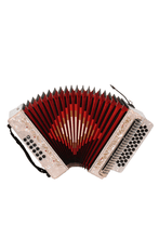 Load image into Gallery viewer, BARONELLI USA AC3112STG Full Size 31 Button Accordion-(6671525249218)