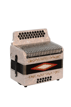 Load image into Gallery viewer, BARONELLI USA AC3112STG Full Size 31 Button Accordion-(6671525249218)