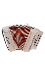 Load image into Gallery viewer, BARONELLI USA AC3412G3 34 Button Accordion 12 Bass 3 Switches-(6671508930754)