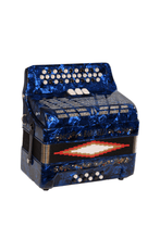 Load image into Gallery viewer, BARONELLI USA AC3412G3 34 Button Accordion 12 Bass 3 Switches-(6671508930754)