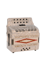 Load image into Gallery viewer, BARONELLI USA AC3412G3 34 Button Accordion 12 Bass 3 Switches-(6671508930754)