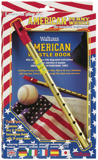 Waltons WM1535 Learn To Play The American Penny Whistle For Complete Beginners HL00634094