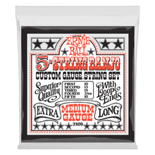 Load image into Gallery viewer, ERNIE BALL 2309 MEDIUM 5-STRING LOOP END STAINLESS STEEL BANJO GUITAR STRINGS - 10-10 GAUGE-(6937344901314)