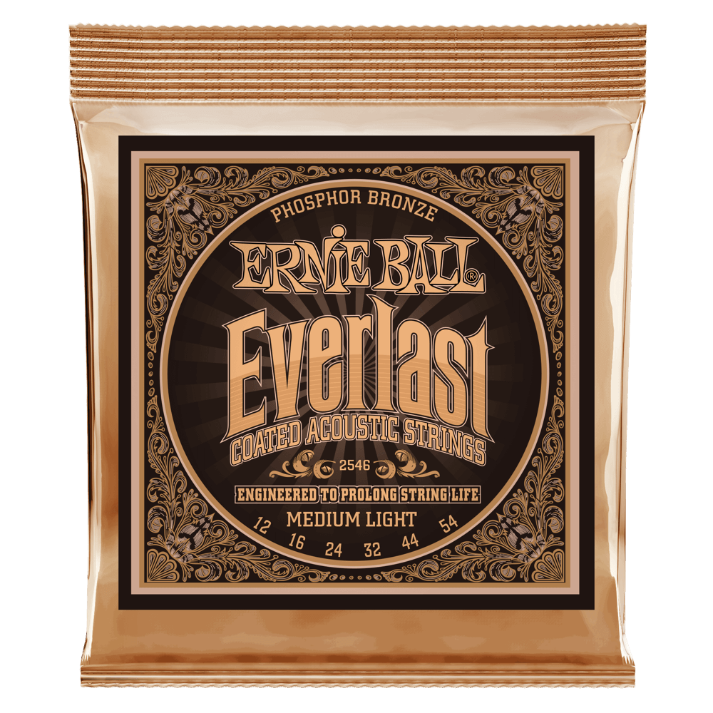 高評価なギフト ERNIE BALL 2546 ×1 [12-54] Everlast Medium Light