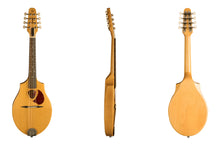 Load image into Gallery viewer, Seagull 039081 S8 Mandolin Natural with Bag MADE In CANADA
