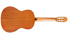 Charger l&#39;image dans la galerie, Cordoba Protege C1M W/B Classical Guitar - Spruce With Carrying Bag
