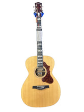 Load image into Gallery viewer, Godin 048397 / 051618 Fairmount CH LTD Rosewood HG EQ Acoustic Electric with Bag MADE In CANADA - See Decription
