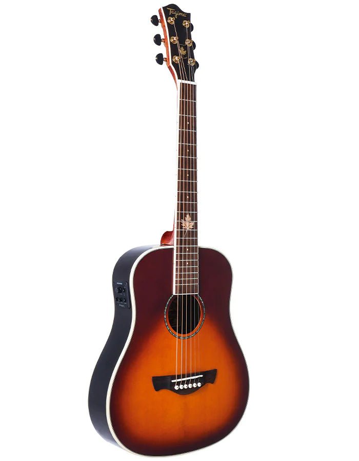 Tagima FERNIE Steel Baby Non-Cutaway Acoustic Guitar (Gloss Cherry Burst) - See Description