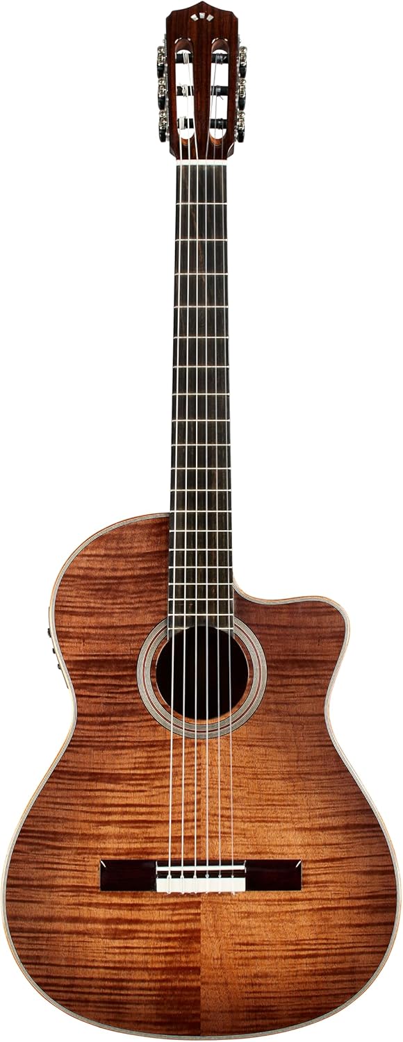 Cordoba Fusion 12 Guitar Cinnamon Burst