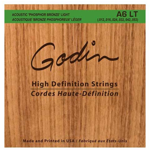 Godin Acoustic Guitar Phosphor Bronze Strings Light A6LT Made by D'Addario