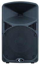 Load image into Gallery viewer, A TURBO POWERED 10&#39;&#39; SPEAKER - CLASS D POWER - 800 WATTS
