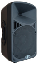 Load image into Gallery viewer, A TURBO POWERED 10&#39;&#39; SPEAKER - CLASS D POWER - 800 WATTS
