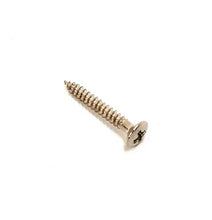 Load image into Gallery viewer, Humbucker Mounting Ring Screws - #2x5/8”, Phillips, Oval
