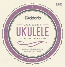 Load image into Gallery viewer, D&#39;Addario EJ65C Pro-Arte Custom Extruded Concert Ukulele Strings
