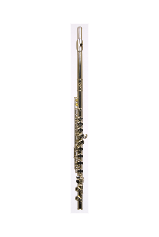 B - U.S.A. Flute Nickel with Case