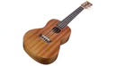 Load image into Gallery viewer, Cordoba PROTEGE UP100 Concert Ukulele Pack (Natural)
