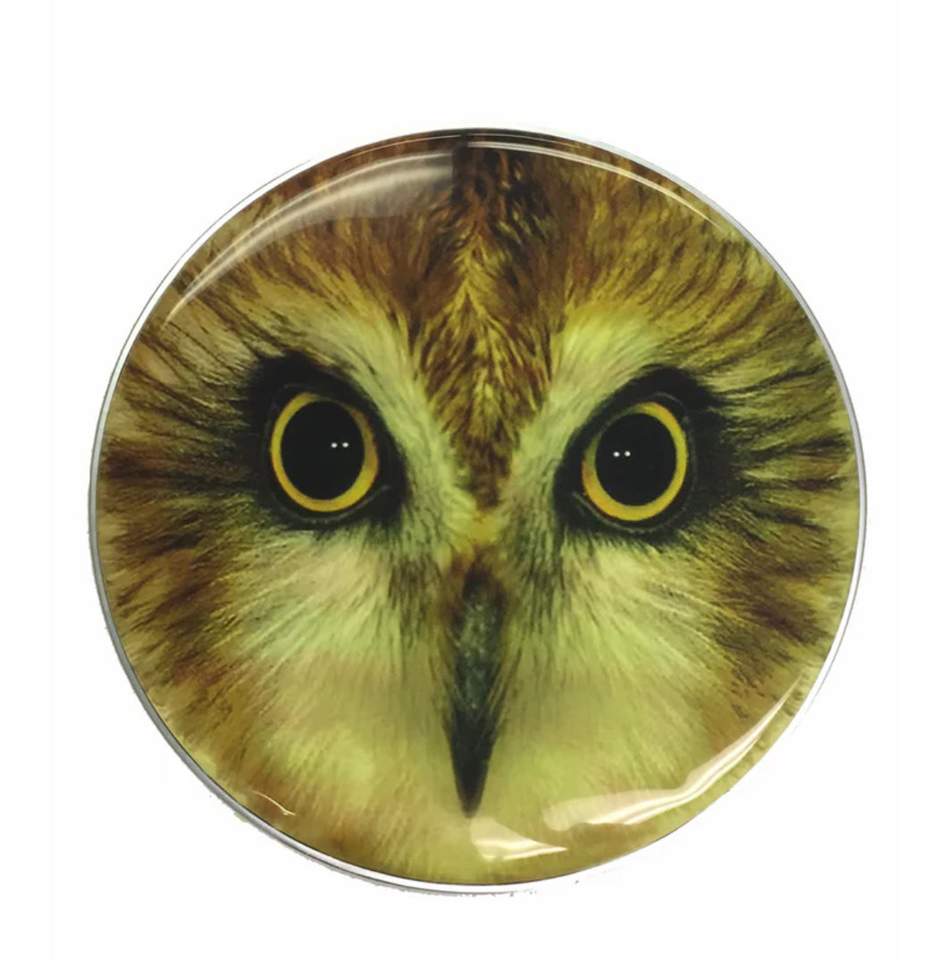 Custom Hooting Owl Drum Head DPH22K-OWL