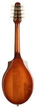 Load image into Gallery viewer, Seagull 041596 S8 Mandolin Burnt Umber with Bag MADE In CANADA
