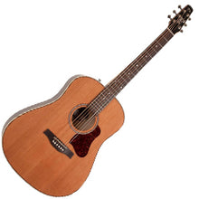 Load image into Gallery viewer, Seagull 042494 Coastline Momentum HG Acoustic Electric MADE In CANADA
