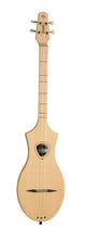 Load image into Gallery viewer, Seagull 042524 M4 Spruce Merlin Dulcimer Electric EQ MADE In CANADA
