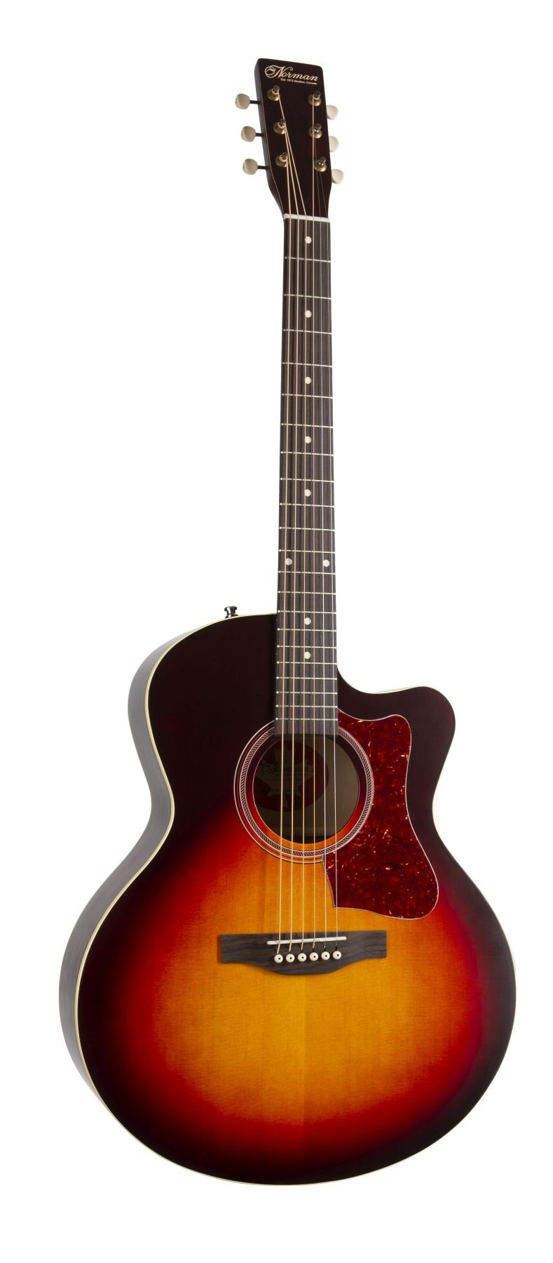 Norman 048571 B18 CW Protege Series Mini Jumbo 6-String RH Cutaway Aco Norman 048571 B18 CW Protege Series Mini Jumbo 6-String RH Cutaway Aco