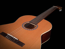 Load image into Gallery viewer, Godin 049721 / 051854 Etude QIT Electric Classical Guitar MADE In CANADA
