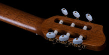 Charger l&#39;image dans la galerie, Godin 049752 Présentation Solid Top Guitare classique en nylon fabriquée au Canada
