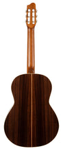 Load image into Gallery viewer, Godin 049752 Presentation Solid Top Classical Nylon Guitar Made In Canada

