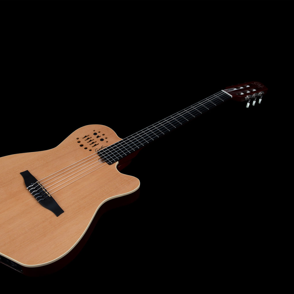 Godin acs cheap