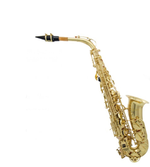 Oxford Brass Alto Saxophone with Hardshell Case, Mouthpiece & Reed