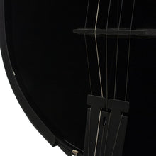 Load image into Gallery viewer, Deering Goodtime &quot;BlackGrass&quot; 5 String Banjo Made In USA GBG-(7078521798850)
