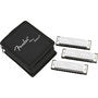 Load image into Gallery viewer, Fender Blues Deluxe Harmonica - 3 Pack With Case (C, G &amp; A Keys)-(7794181570815)
