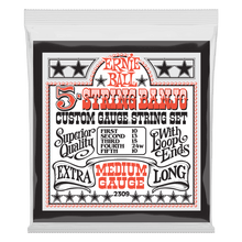 Load image into Gallery viewer, ERNIE BALL 2309 MEDIUM 5-STRING LOOP END STAINLESS STEEL BANJO GUITAR STRINGS - 10-10 GAUGE-(6937344901314)
