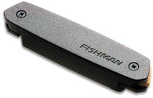 Load image into Gallery viewer, Fishman PRO-NEO-D02 Neo-D Passive Acoustic Humbucking Pickup
