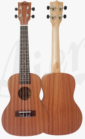 Aiersi Solid Top Concert Ukulele with Aquila Strings & Carrying Bag